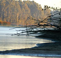 Barmah National Park - Tourism Townsville