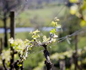 Eldridge Estate Of Red Hill - Tourism Townsville 0