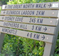Great North Walk - Tourism Townsville