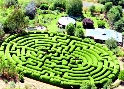 Wandiligong Maze - Tourism Townsville 0