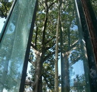 Sydney Sculpture Walk - Tourism Townsville