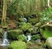 Budderoo National Park - Tourism Townsville