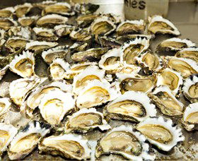 Wheelers Oysters - Tourism Townsville 0