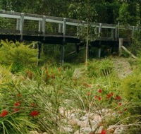 Eurobodalla Botanic Gardens - Tourism Townsville