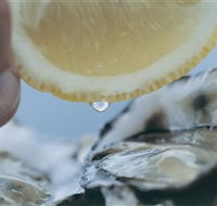 Pearly Oyster Bar and Farm - Tourism Townsville