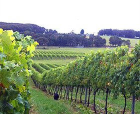 Brayton NSW Tourism Townsville