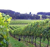 Banjo's Run Winery and Vineyard - Tourism Townsville