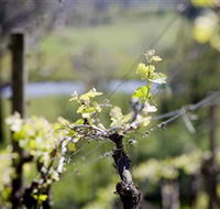 Galli Estate Winery - Tourism Townsville