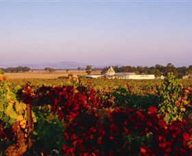 Morris Wines - Tourism Townsville 0