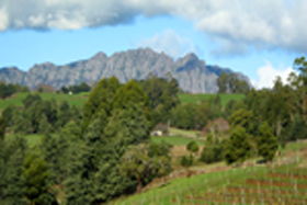 Lake Barrington Vineyard - Tourism Townsville 0