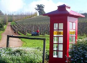 Dalrymple Vineyards - Tourism Townsville 0