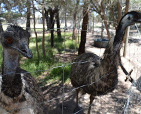 Narana Aboriginal Cultural Centre - Tourism Townsville 4