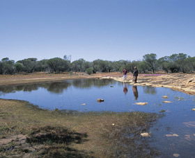 Camel Soak - Tourism Townsville 0