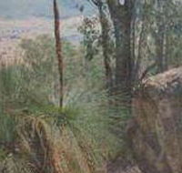 Mount Lawson State Park - Tourism Townsville