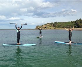 Peninsula Stand Up Paddle - Tourism Townsville 3