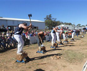 Quirindi Rural Heritage Village - Tourism Townsville 1