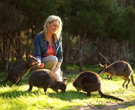 Pearcedale VIC Tourism Townsville