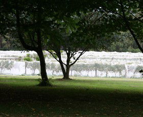 Staindl Wines - Tourism Townsville 0