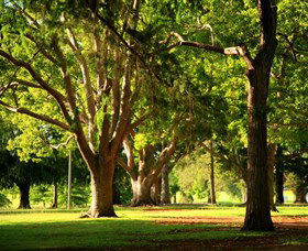 Queens Park, Toowoomba - Tourism Townsville 1