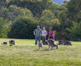 Tidbinbilla - Tourism Townsville 1