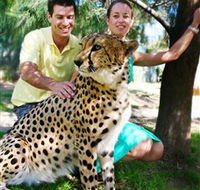National Zoo  Aquarium - Tourism Townsville