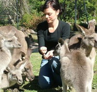 Canons Shuttles Day Tours - Tourism Townsville