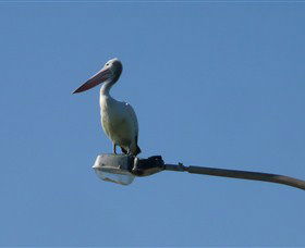 Bailey's Sydney - Tours For People Who Don't Like Tours - Tourism Townsville 3