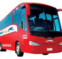 Greyhound Australia - Tourism Townsville