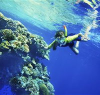 My Mates Tours - Tourism Townsville