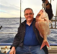 Deep Sea Fishing Charter - Tourism Townsville