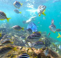 EcoTreasures - Tourism Townsville