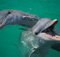 Colourful Trips - Tourism Townsville