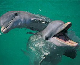 Colourful Trips - Tourism Townsville 0