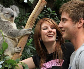 Colourful Trips - Tourism Townsville 3