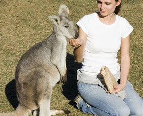 Colourful Trips - Tourism Townsville 4