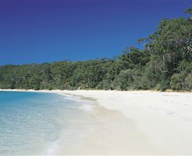 Cloud9 Tours - Tourism Townsville 1