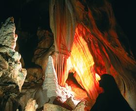 Cloud9 Tours - Tourism Townsville 3