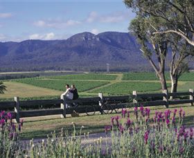 Cloud9 Tours - Tourism Townsville 7