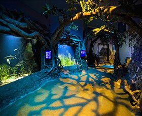 SEA LIFE Sydney Aquarium - Tourism Townsville 2