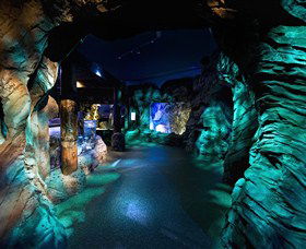 SEA LIFE Sydney Aquarium - Tourism Townsville 3
