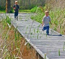 Hunter Wetlands Centre Australia - Tourism Townsville 1