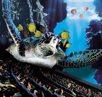 IMAX Theatre Sydney - Tourism Townsville