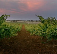 Wine Class - Tourism Townsville
