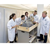 Behind the Scenes Tours at Australian Museum - Tourism Townsville