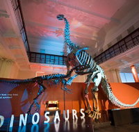 Australian Museum - Tourism Townsville