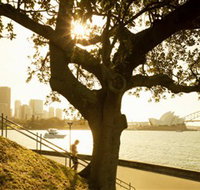 Royal Botanic Gardens and the Domain - Tourism Townsville