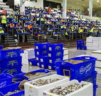 Sydney Fish Market - Tourism Townsville