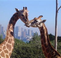 Planetdwellers - Gay and Lesbian Tours of Australia - Tourism Townsville