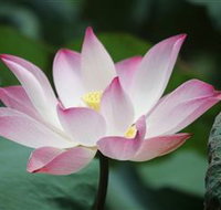 The Aperture Club - Tourism Townsville