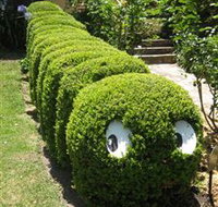 Nutcote - May Gibbs' Home - House Museum - Tourism Townsville